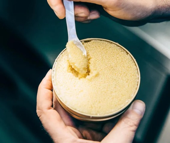Caviar branco é feito com ovas albinas / Reprodução/Grüll
