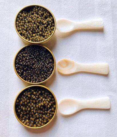 Latinhas de caviar da marca Strottarga / Divulgação