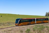 Trem no RS leva público para conhecer vinícola na fronteira com Uruguai
