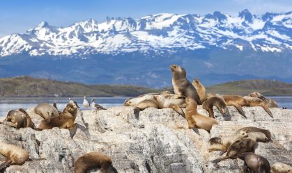 Ushuaia com crianças: 15 programas para curtir em família no fim do mundo